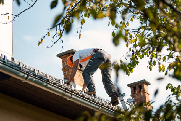 Roof Gutter Cleaning in Oostburg, WI